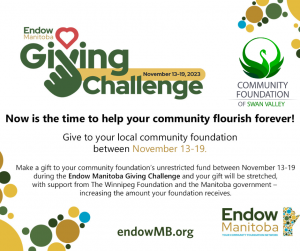 Read more about the article Endow MB Giving Challenge
