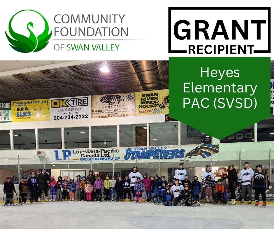 You are currently viewing Grant Feature: Heyes Elementary PAC (SVSD)