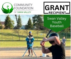 Read more about the article Grant Feature: SV Youth Baseball